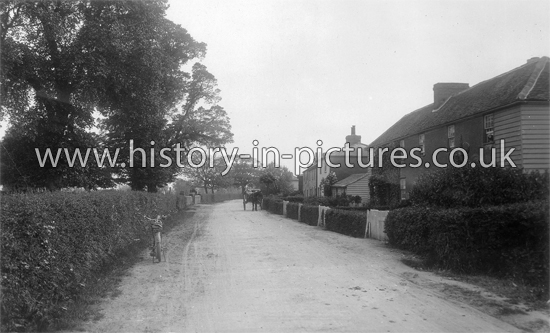 The Village, Woodham Ferrers, Essex. c.1915